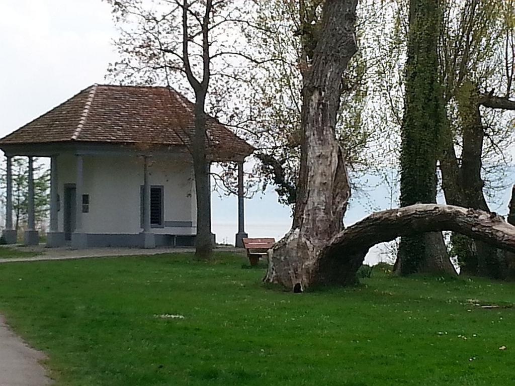 Ferienwohnung M. Konig Radolfzell am Bodensee Pokój zdjęcie